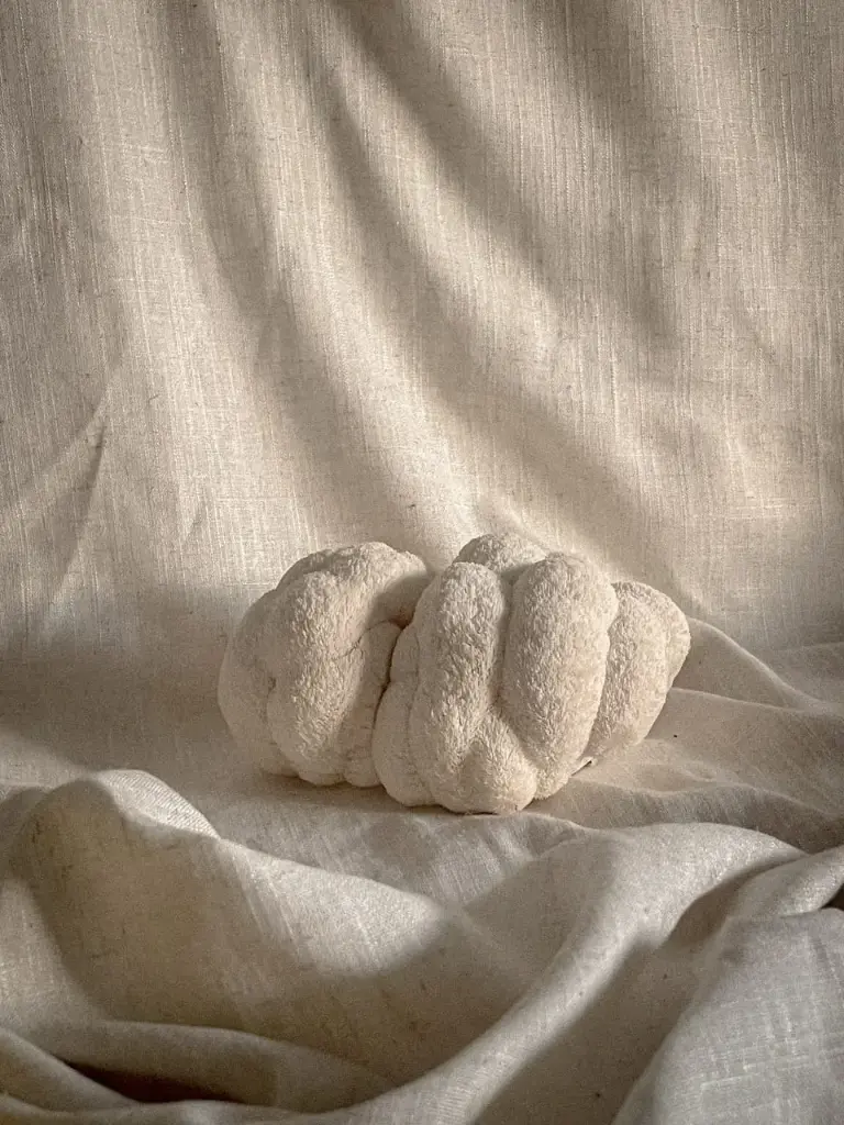 Fresh Mushroom (Lion's Mane) (