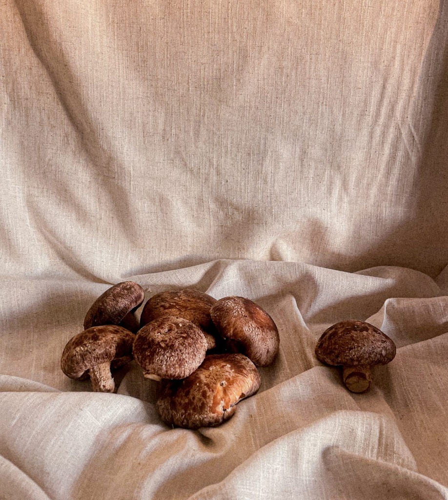 Fresh Mushroom (Shiitake) 