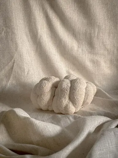 Fresh Mushroom (Lion's Mane) (